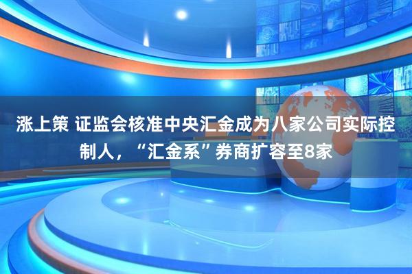 涨上策 证监会核准中央汇金成为八家公司实际控制人，“汇金系”券商扩容至8家