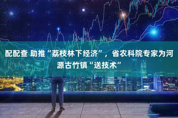 配配查 助推“荔枝林下经济”，省农科院专家为河源古竹镇“送技术”