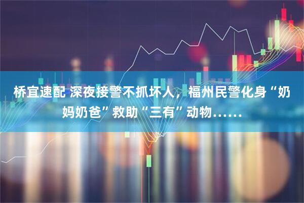 桥宜速配 深夜接警不抓坏人，福州民警化身“奶妈奶爸”救助“三有”动物……