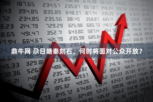 鼎牛网 尕日塘秦刻石，何时将面对公众开放？